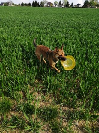 Ein Familienmitglied muss aus gesundheitlichen Gründen