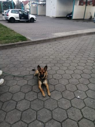 Ein Familienmitglied muss aus gesundheitlichen Gründen