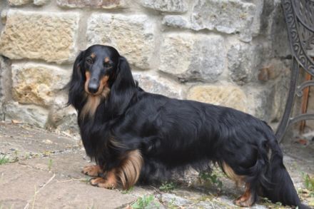 Am 23.05. wurde Theklas (kam vor zwei Jahren zu uns)