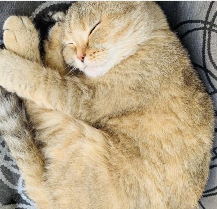 Hallo, schweren Herzens müssen wir uns von unserer