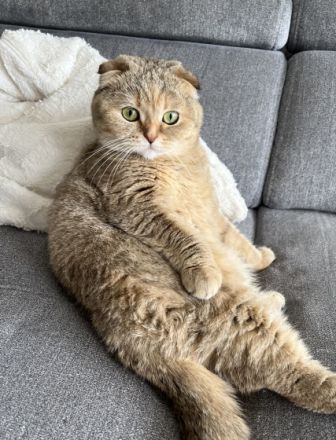 Hallo, schweren Herzens müssen wir uns von unserer