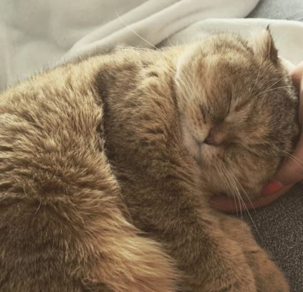 Hallo, schweren Herzens müssen wir uns von unserer