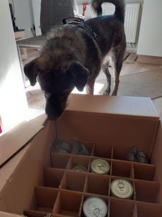 Vitalberatung RelativHund