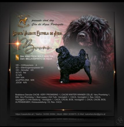 Bruno Valente Estrela de Agua