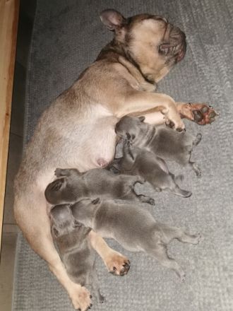 Am 20.05. 22 kamen sie auf natürliche Weise auf die