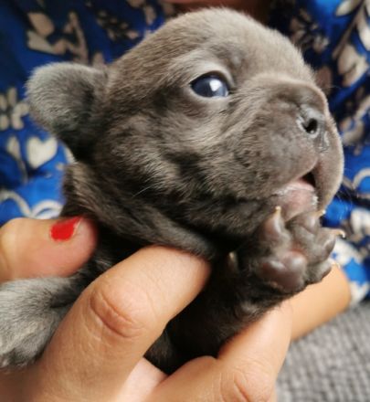 Am 20.05. 22 kamen sie auf natürliche Weise auf die