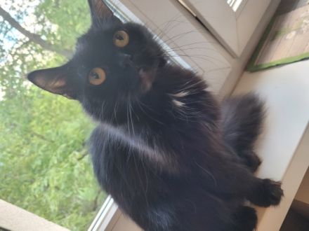 Hier möchte ich euch unsere kleine Luna vorstellen. Sie