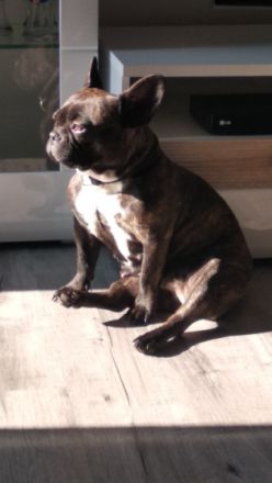 Luna, Hallöchen, muss leider aus persönlichen Gründen