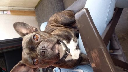 Luna, Hallöchen, muss leider aus persönlichen Gründen