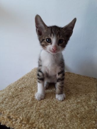 Unsere 6 Zwerge dürfen ab sofort in ihren neuen