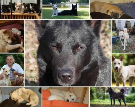 Ankündigung E-Wurf in 2023