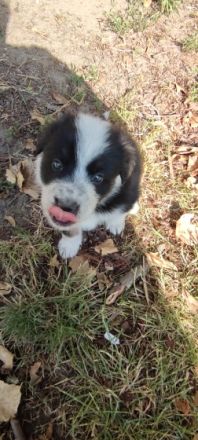 Am 23.05.2022 haben unsere süßen Knutschkugeln das