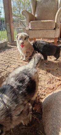 Am 23.05.2022 haben unsere süßen Knutschkugeln das