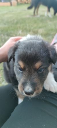 Am 23.05.2022 haben unsere süßen Knutschkugeln das