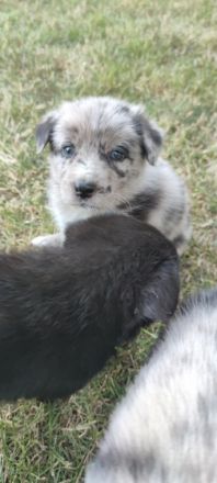 Am 23.05.2022 haben unsere süßen Knutschkugeln das