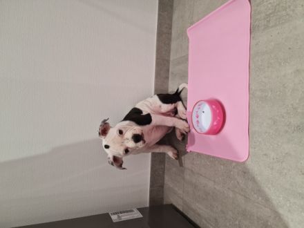 Schweren Herzens haben wir entschieden uns von unserer