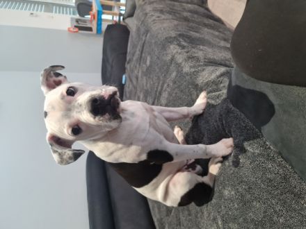 Schweren Herzens haben wir entschieden uns von unserer