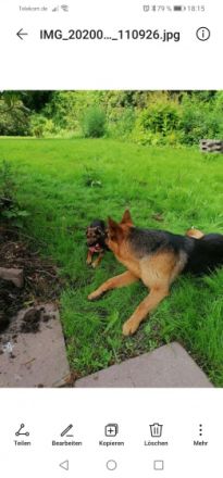 Hallo meine lieben, mein Name ist Toto und leider suche