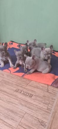 Wir dürfen endlich ausziehen und freuen uns auf unsere