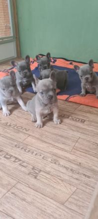 Wir dürfen endlich ausziehen und freuen uns auf unsere