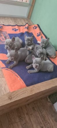 Wir dürfen endlich ausziehen und freuen uns auf unsere