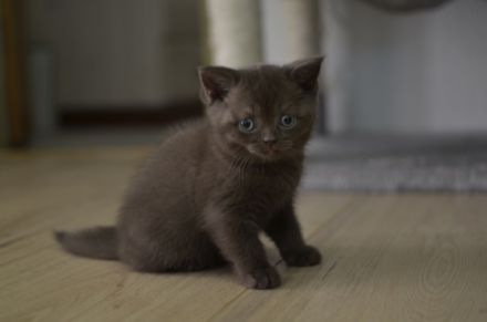 Halli Hallo und herzlich Willkommen, wie schön, dass du