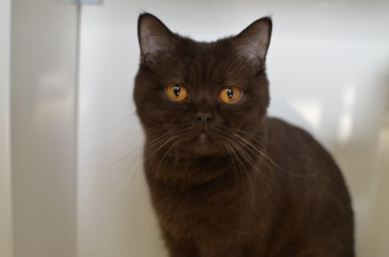 Halli Hallo und herzlich Willkommen, wie schön, dass du