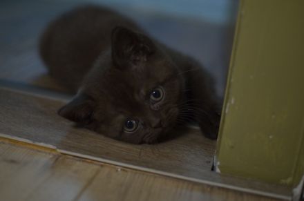 Halli Hallo und herzlich Willkommen, wie schön, dass du