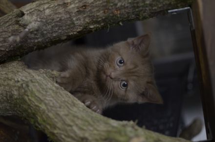 Halli Hallo und herzlich Willkommen, wie schön, dass du