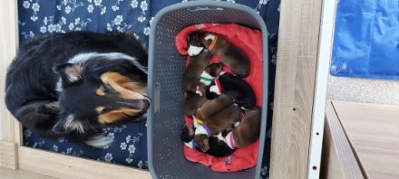 Unsere Sternchen sind am 18. 06.2022 auf die Welt