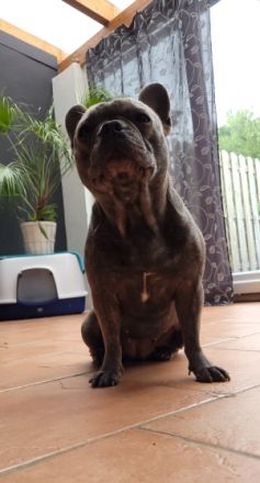 Kira, Sehr sehr schweren Herzens müssen wir uns leider