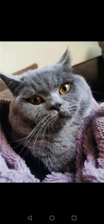 Meine kleine coco hat vier Wunderschöne kleine Baby