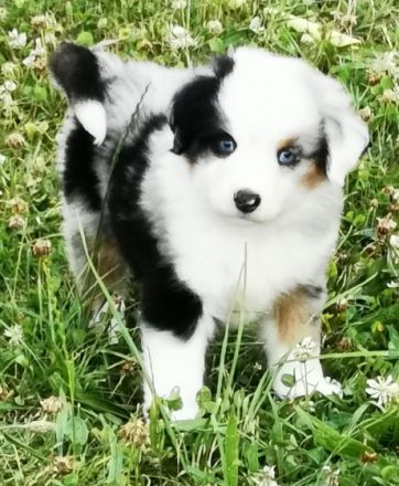 Ab sofort sind Intressenten eingeladen unsere