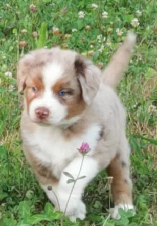 Ab sofort sind Intressenten eingeladen unsere