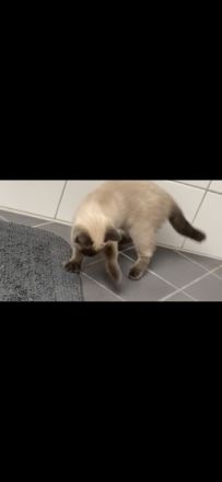 Hallo ☺️ Meine Schwester und ich geben unsere