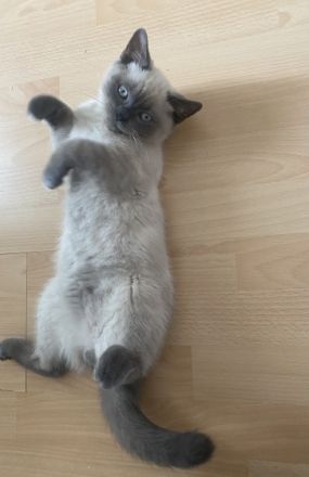 Hallo ☺️ Meine Schwester und ich geben unsere