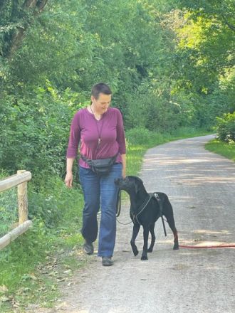Hundeschule Stadtrandpfoten