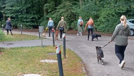 Hundeschule Stadtrandpfoten