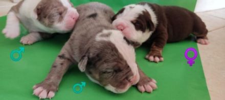 Es ist endlich soweit!! Unsere süße Prinzessin hat am