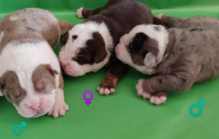 Es ist endlich soweit!! Unsere süße Prinzessin hat am