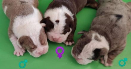 Es ist endlich soweit!! Unsere süße Prinzessin hat am