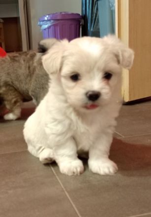 Unsere drei kleinen Racker können ab dem 6.07.2022