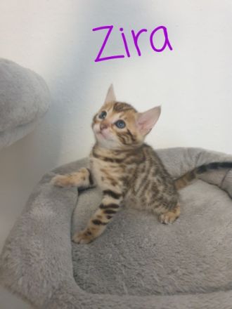 **Hurra Hurra Unsere Babys sind da*** Unsere