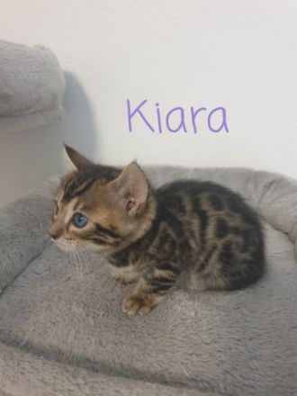 **Hurra Hurra Unsere Babys sind da*** Unsere