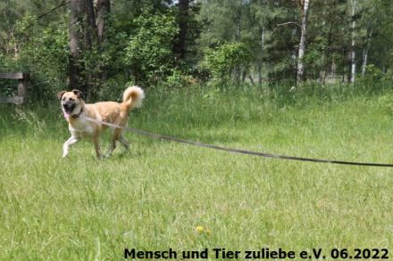 Bajana wurde zusammen mit ihrer Tochter Jule aus