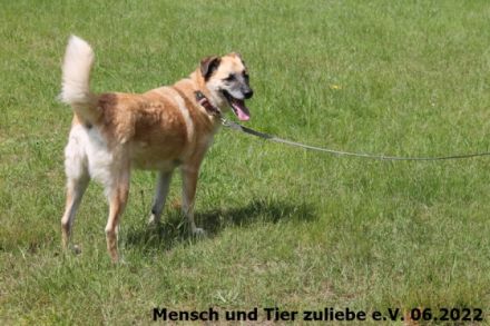 Bajana wurde zusammen mit ihrer Tochter Jule aus