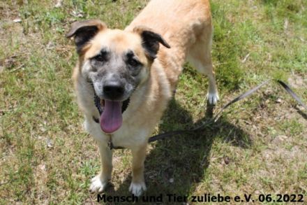 Bajana wurde zusammen mit ihrer Tochter Jule aus