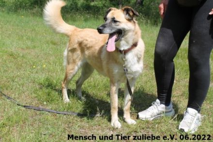 Bajana wurde zusammen mit ihrer Tochter Jule aus