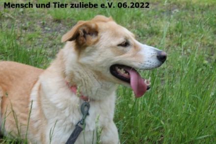 Jule wurde mit ihrer Mutter aus schlechter Haltung