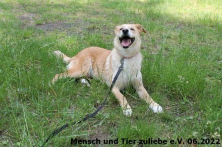 Jule wurde mit ihrer Mutter aus schlechter Haltung